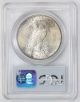 1928 Peace Silver Dollar Ms 64 Pcgs Near Gem Uncirculated (5895) Dollars photo 1