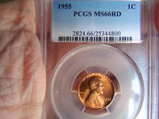 1955 1c Pcgs Ms66rd Lincoln Cent Red Beauty photo
