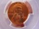 1955 1c Pcgs Ms66rd Lincoln Cent Red Beauty Small Cents photo 1