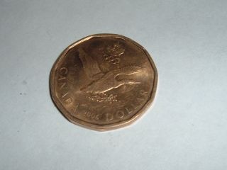 Canada Elizabeth 11 Loonie 2006 Flying Goose Quite Rare Not Easy To Find photo