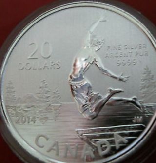 2014 Canada $20 Summertime 1/4 Oz Now photo