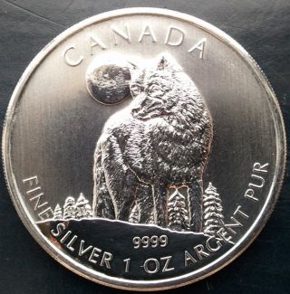2011 1 Oz Silver Timber Wolf Canadian Wildlife Series Canada $5 Coin.  T160 photo