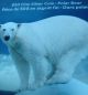 2014 Canada $50 For $50 Polar Bear.  First In Series.  99.  99% Fine Silver Coins: Canada photo 7