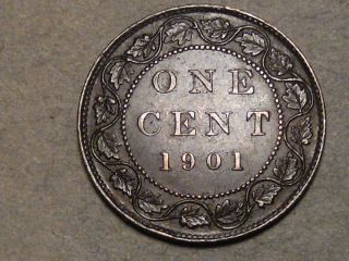 1901 Canadian Large Cent (au) 6737a photo