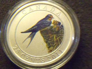 Canada 2011 Colorful Birds - Barn Swallow 25 Cents Colorized Quarter - Specimen photo