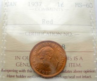 1937 Small Cent Iccs Ms - 65 Red & Lustrous Gem Brilliant Unc Penny photo