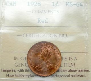 1928 Small Cent Iccs Ms - 64 Red Scarce,  & Lustrous A Gem Bu++ Penny photo