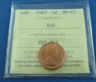 1967 Canada One Cents Ms 67 Iccs Coin And Hard To Find photo