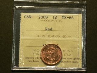 Canada,  2009 Cent,  Iccs Ms - 66 Magnetic 2172 photo