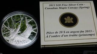 2012 Canada $20 Silver Maple Leaf Canopy Spring 1 Oz.  9999 Coloured Silver Coin photo