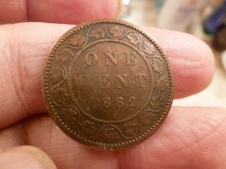 1882h Canadian Large Cent photo