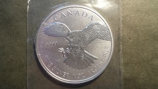 2014 Peregrine Falcon Silver $5 1 Oz Rcm Perfectly photo