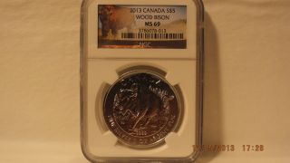 2013 $5 Canada Wood Bison Silver Commemorative photo
