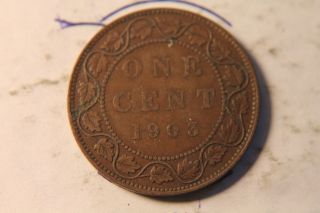 1903 1c Rb Canada Cent Ef++++ photo