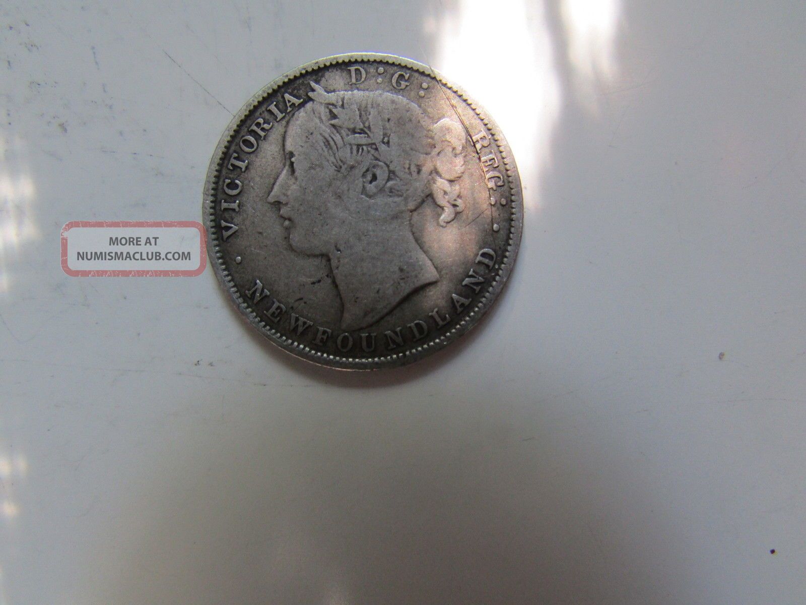1880 Canada (newfoundland) Twenty Cent Piece Coins: Canada photo