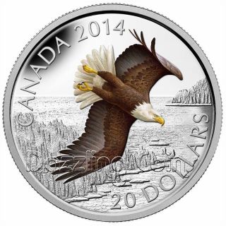$20 1 Oz 99.  99% Silver Color Coin - Soaring Bald Eagle Canada 2014 photo
