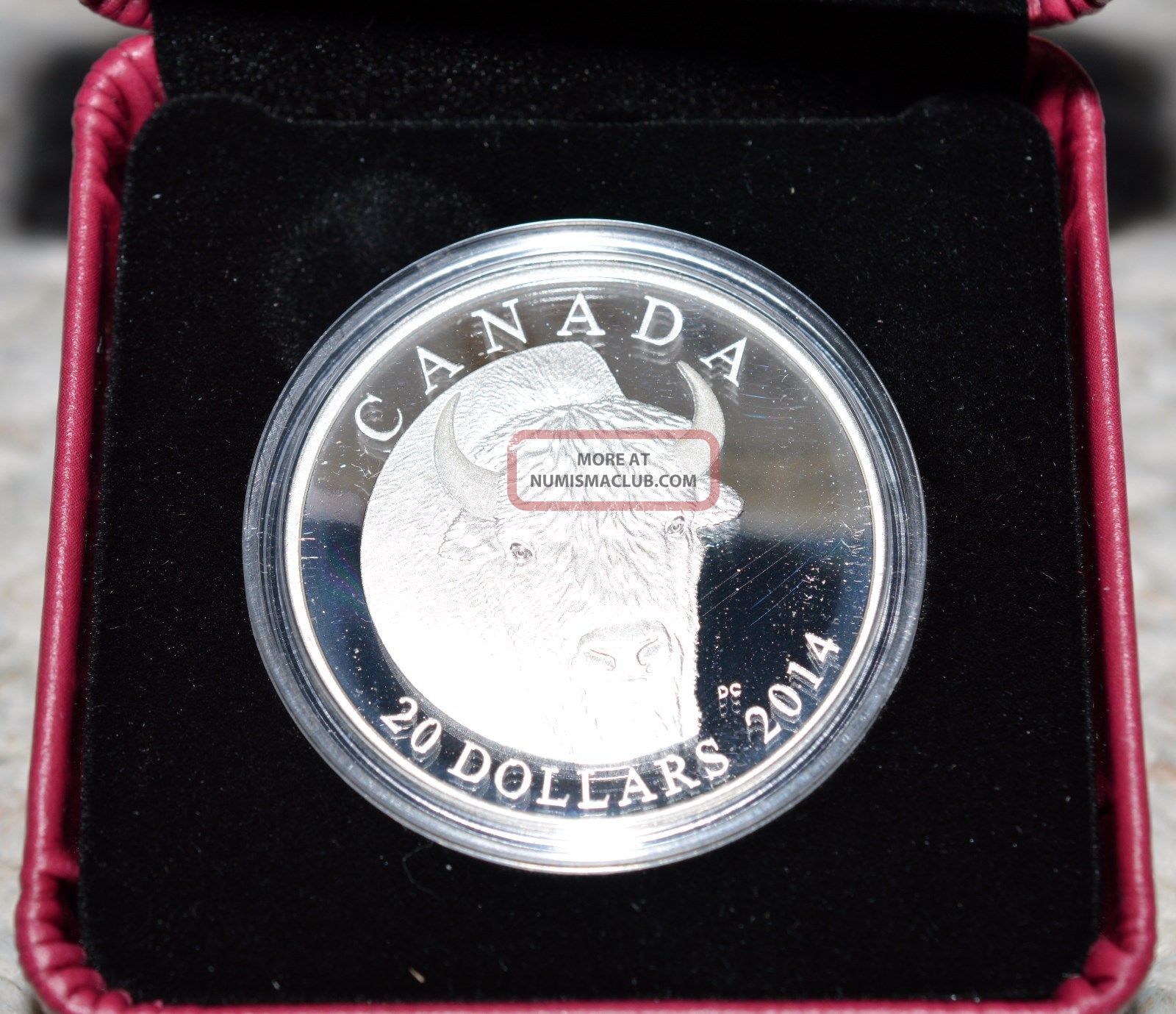 2014 $20 Silver Coin - The Bison:portrait - First In A Series Of Five - 7500 Minted Coins: Canada photo