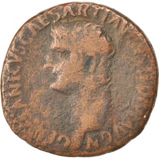 [ 65205] Germanicus,  As,  Cohen 1 photo