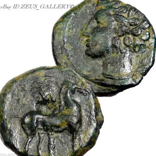 Zeugitania Carthage Tanit Horse & Palm Tree Ancient Greek Coin Ef 400bc photo