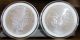 2013 American Silver Eagle Gem Bu 1 Oz.  999 Pure In Plastic Capsule China photo 7