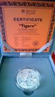 Tigers Wildlife Family Panthera Tigris Silver Coin 1$ 1 Oz Niue 2013 Australia & Oceania photo 4