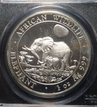 2011 Somalia Elephant 100 Shillings Proof,  Pcgs Pr69dcam Jby506 photo