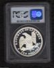 Liberia Morgan Dollar Design $10 - 2000 Millennium Proof Silver Coin Pcgs P Africa photo 1