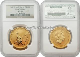 Australia 2009 Kangaroo $100 1 Oz Gold Ngc Ms69 photo