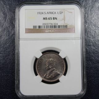 1924 South Africa 1/2 Penny Ngc Ms65 Bn photo