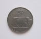 1982 - 5 Pence Ireland Republic Coin (km 22) Europe photo 1