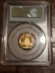 1987 - Y Rare 10yn 1/10 Oz Gold Bu.  999 China Panda Coin Pcgs Certified Ms69 China photo 1