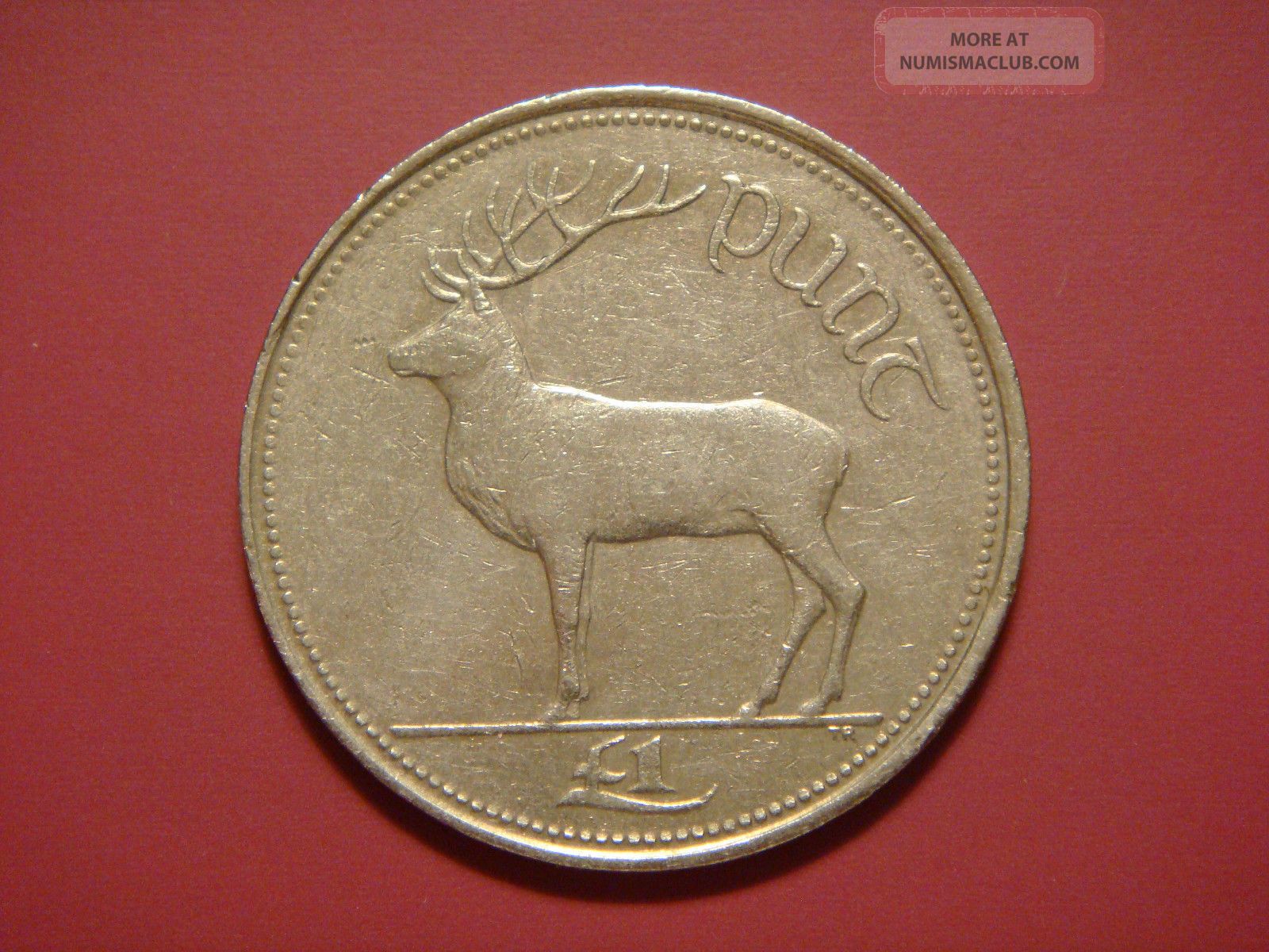 Ireland Republic Punt, Pound, 1995 Red Deer Animal Coin