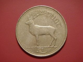 Ireland Republic Punt,  Pound,  1995 Red Deer Animal Coin photo
