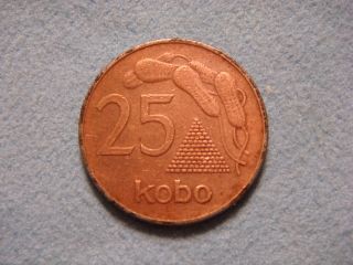 Nigeria 25 Kobo,  1991 Coin.  Ground Nuts photo