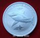 Silver Coin 1/2 (half) Oz 2014 Australia Great White Shark Wildlife Pure.  999 Bu Australia photo 2