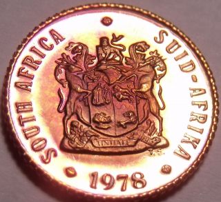 Rare Proof South Africa 1978 Half Cent Only 7,  000 Ever Minted photo