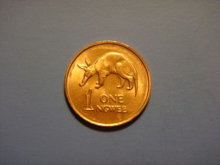 Zambia 1 Ngwee,  1983 Coin.  Aardvark photo