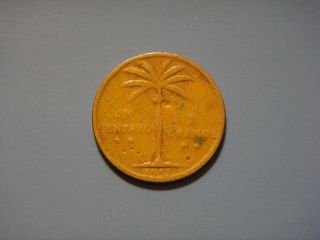 Dominican Republic 1 Un Centavo,  1952 Coin.  Palm Tree photo