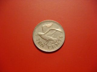 Barbados 10 Cents,  1979 Coin.  Seagull photo