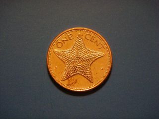 Bahamas 1 One Cent,  2004 Coin.  Starfish photo