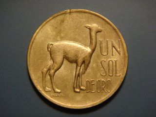 Peru Sol,  1971.  Lama.  Animal Coin photo