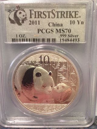 2011 First Strike Chinese Silver Panda 10 Yn Pcgs Ms70 (9 Of 10) photo