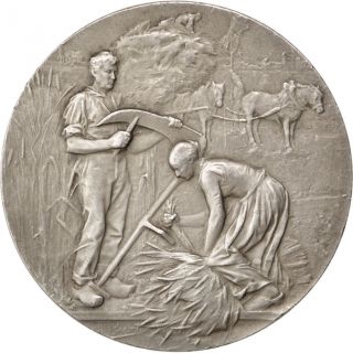 [ 62789] Comice Agricole De Laon,  Médaille photo