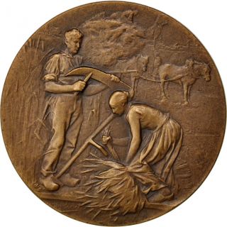 [ 62771] Comice Agricole De Laon,  Médaille photo