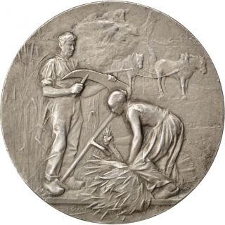 [ 62767] Comice Agricole De Laon,  Médaille photo