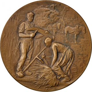 [ 62770] Comice Agricole De Laon,  Médaille photo