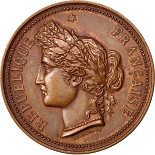 [ 62946] République Française,  Médaille,  Comice Agricole De Brassac photo