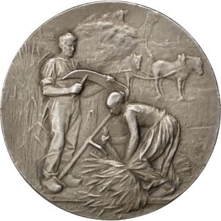 [ 62768] Comice Agricole De Laon,  Médaille photo