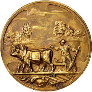 [ 62699] Province De Hainaut,  Médaille photo