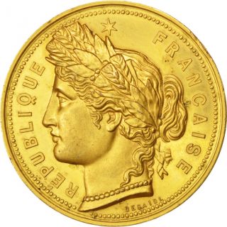 [ 62725] République Française,  Médaille photo